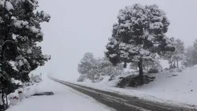 الثلوج تغلق طرقا وتحاصر سيارات بالجزائر وتغطي مناطق واسعة بتونس