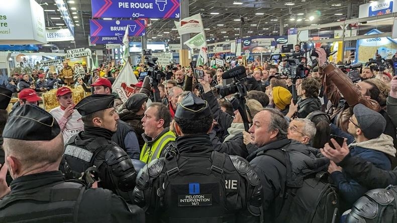 France: Les vaches absentes du salon de l’agriculture en raison de l’épizootie de dermatose nodulaire