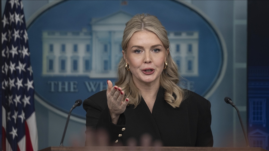 US weighing options, including military, to acquire Greenland: White House