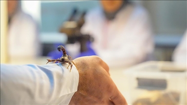 Dicle Üniversitesine hibe edilen akrepler akademik çalışmalarda kullanılacak