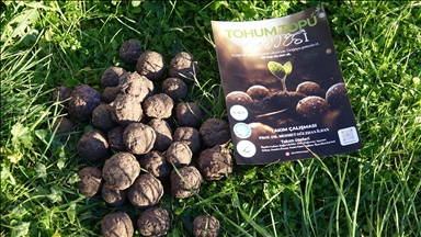 Üniversite öğrencileri ormanların yeşillenmesine destek için tohum topu yapıyor