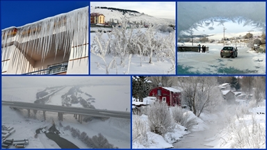 Doğu Anadolu'da sulak alanlar dondu, bitki ve ağaçları kırağı kapladı