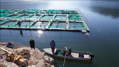 Irak'ın kuzeyinde yağışlar barajları doldururken ani su yükselişleri balık kaybına yol açtı