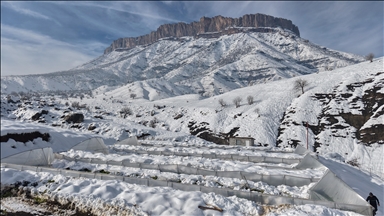 Li Hekariyê ji ber berfê sera rûxiyan
