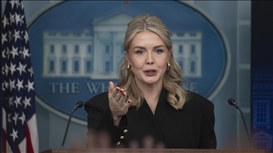 US weighing options, including military, to acquire Greenland: White House