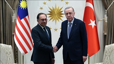 Лидеры Турции и Малайзии провели переговоры в Анкаре