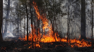 Australija izdala upozorenje na evakuaciju, jer toplotni val podstiče požare u južnim regijama