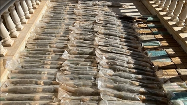 سوريا.. الأمن يضبط أسلحة مخبأة في مزرعة بطرطوس