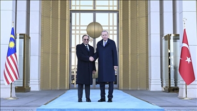 Türkiye's President Erdogan meets Malaysian Premier Anwar in Ankara