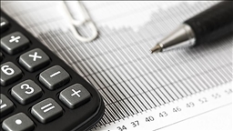 Bireysel Emeklilik Sistemi'nde devlet katkısı oranı yüzde 20 oldu