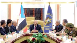 الرئاسي اليمني يُسقط عضوية الزبيدي لـ"ارتكابه الخيانة العظمى"