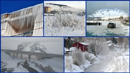 Doğu Anadolu'da sulak alanlar dondu, bitki ve ağaçları kırağı kapladı