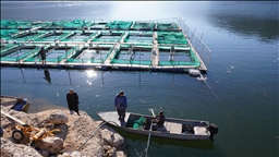 بەهۆی بارانبارینەوە ئاستی ئاو لە دەریاچە و بەنداوەکان بەرزبووەتەوە