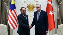 Лидеры Турции и Малайзии провели переговоры в Анкаре