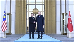 Türkiye's President Erdogan meets Malaysian Premier Anwar in Ankara