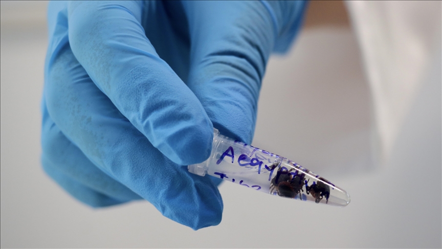 Madagascar : les internes suspendent la prise en charge des cas de Mpox