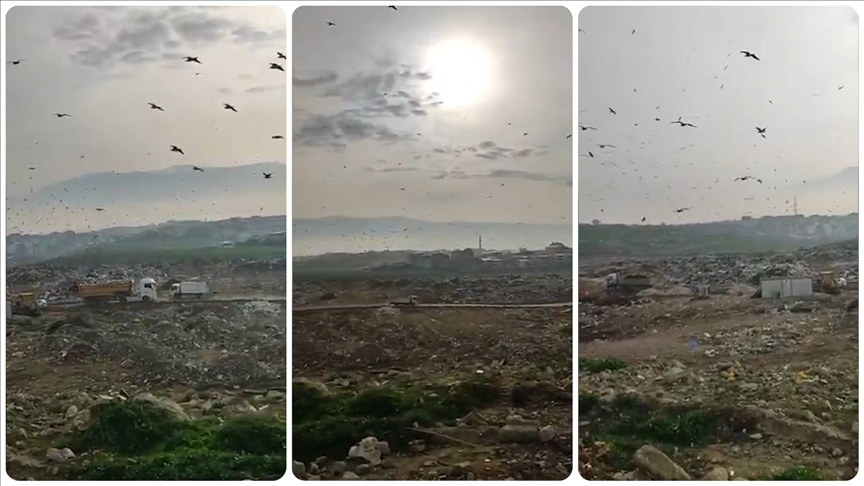 Bursa Büyükşehir Belediyesine yaklaşık 1,9 milyon liralık "vahşi çöp depolama" cezası