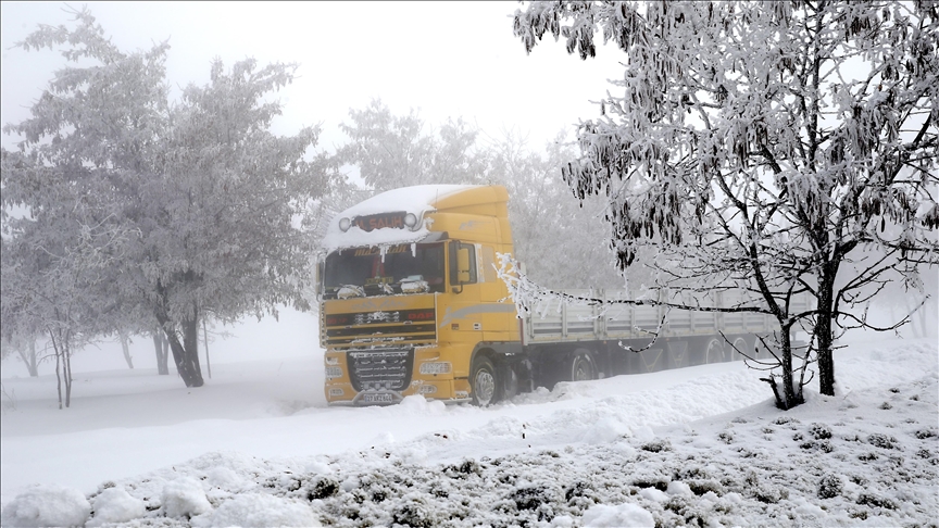 Li Wan û Bidlîsê berfê rêyên 33 cî û waran girtin