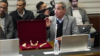 المغرب يعلن اكتشاف حفريات بشرية تعود لـ773 ألف سنة