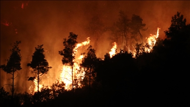 Forest fire leads to evacuation orders in central Japan