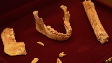 В Марокко обнаружены человеческие окаменелости возрастом около 773 тыс. лет