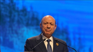 Yemen's presidential council sacks defense minister