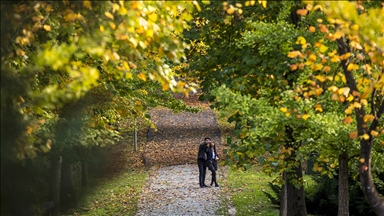 İstanbul'un korunan alanlarını 2025'te 4 milyon kişi ziyaret etti