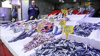 Samsun'da olumsuz hava koşullarının düzelmesiyle balık tezgahları yeniden şenlendi