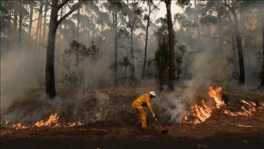 Sıcak hava dalgasının vurduğu Avustralya'da "felaket" seviyesinde yangın riski uyarısı