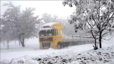 Li Wan û Bidlîsê berfê rêyên 33 cî û waran girtin