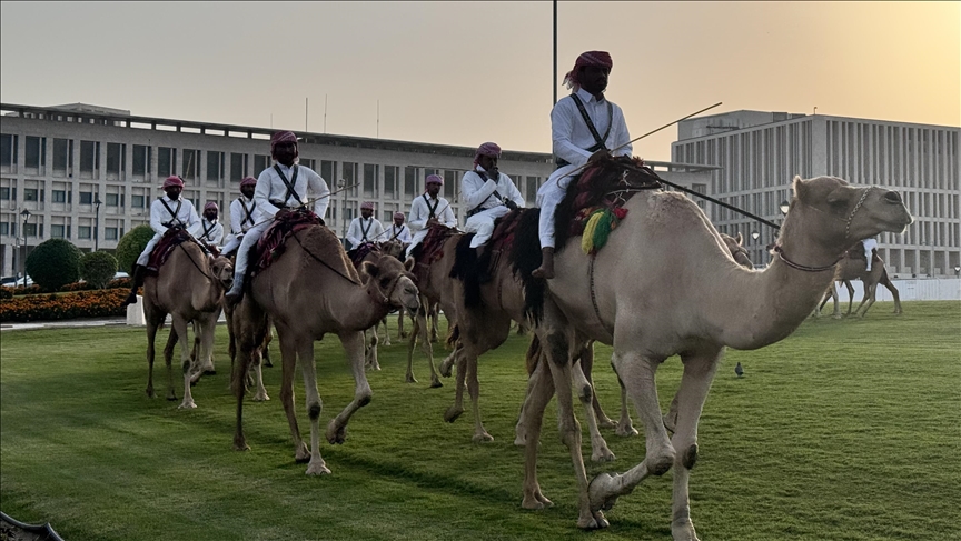 Katar, tradita e përditshme e "Paradës së Deveve" ofron spektakël për vizitorët