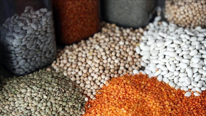 Türkiye'nin hububat ihracatı geçen yıl 12,3 milyar doları aştı