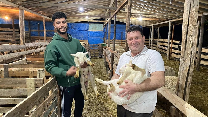 Sinop'ta iki girişimci çocukluk hayallerini Genç Çiftçi Projesi ile gerçekleştirdi