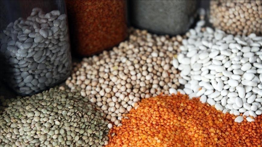 صادرات تركيا من الحبوب والبقوليات تتجاوز 12 مليار دولار في 2025