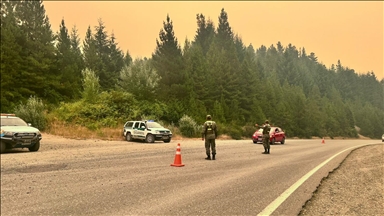 Шумски пожари изгореа над 2.000 хектари во аргентинската провинција Чубут