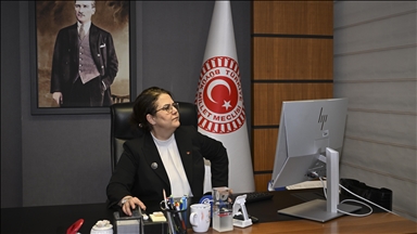 TBMM İnsan Haklarını İnceleme Komisyonu Başkanı Yanık AA'nın "Yılın Kareleri" oylamasına katıldı