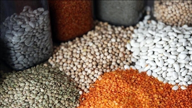 صادرات غلات ترکیه در سال گذشته از ۱۲.۳ میلیارد دلار گذشت