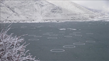 Çat Barajı'ndaki "yüzen adalar" buz tuttu