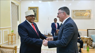 Visite du chef de la diplomatie israélienne au Somaliland : l’OCI dénoncent une violation du droit international