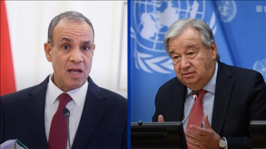 وزير خارجية مصر يشدد لغوتيريش على ضرورة انسحاب إسرائيل من غزة