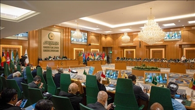 OKI dan 22 Negara Islam Kecam Kunjungan Menlu Israel ke Somaliland