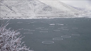 "Giravokên" li Bendava Çatê cemed girtin
