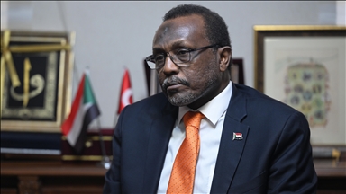 Sudan'ın Ankara Büyükelçisi Eltayeb, BMGK'ye sunulan barış girişimini değerlendirdi