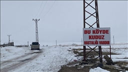 Li Bidlîsê gundek ji ber harbûnê hildan karantînayê