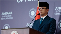 Menlu RI Tegaskan Turkiye sebagai Mitra Strategis, Undang Presiden Erdogan ke KTT D8 di Jakarta