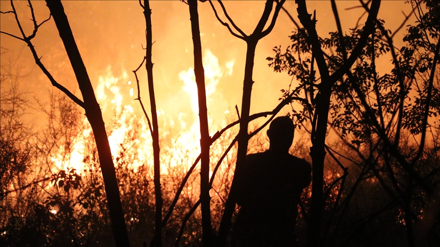 Australie : le sud-est ravagé par des feux de brousse, 130 bâtiments détruits et l’état de catastrophe déclaré