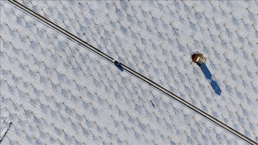 Gaziantep’teki Barak Ovası’nda fıstık bahçeleri karla kaplandı