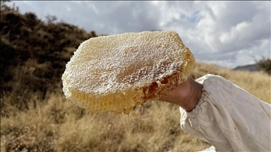 Ilgaz'da satılan bal dünyanın en pahalı balı olarak Guinness Rekorlar Kitabı'na girdi