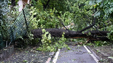 France / Tempête Goretti : « les risques sont toujours présents », l’ONF déconseille les balades en forêt