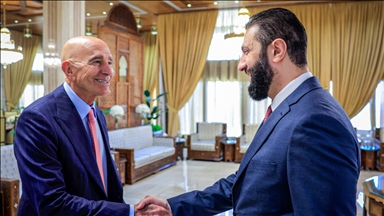 المبعوث الأمريكي إلى سوريا يلتقي الرئيس الشرع في دمشق